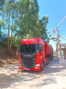 0568450e-2c49-4f9a-9efe-e9a891dfe7d7 (Tamanho 1)