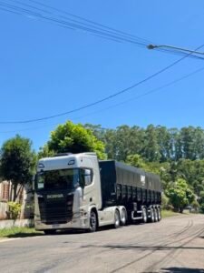 IMG_7011 (Tamanho 1)