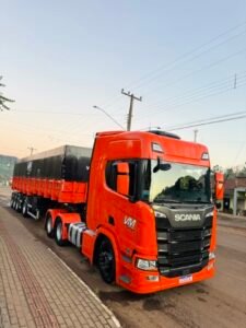 IMG_7231 (Tamanho 1)