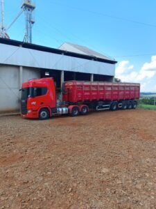 f65dadaf-78aa-44d8-9e82-9da363993583 (Tamanho 1)